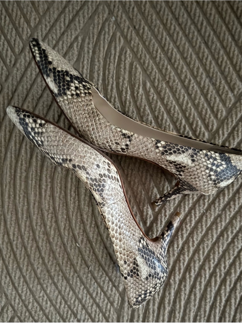 VTG COACH Snakeskin kitten heel pumps.  7.5. GREAT CONDITION